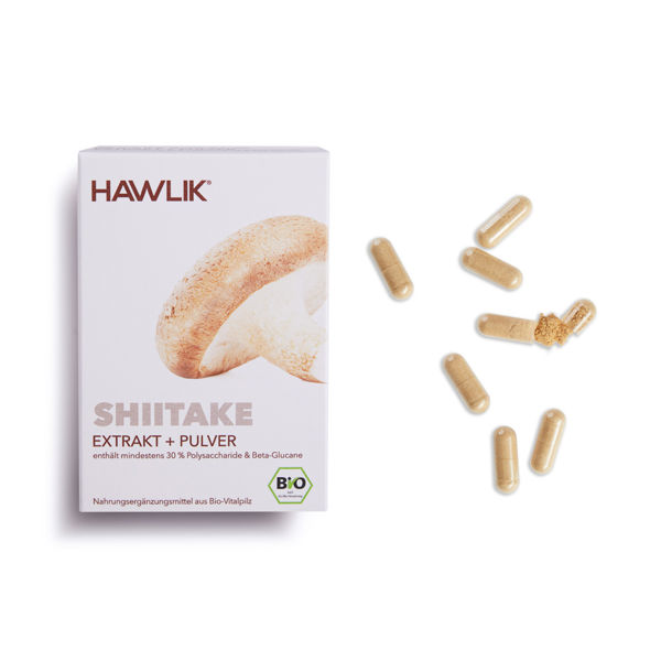 Hawlik Shiitake Extrakt + Pulver 60 Kapseln